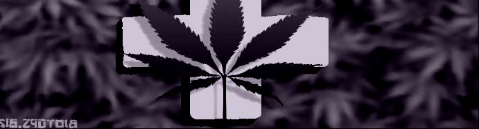 cannabis-therapeutique.jpg